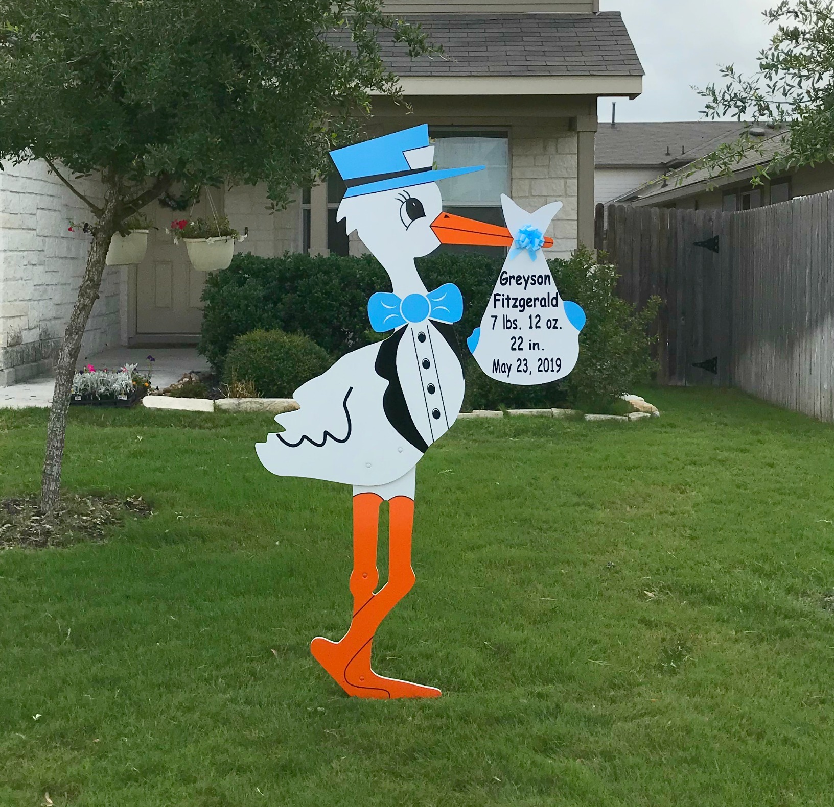 Baby Boy Announcement Lawn Sign in Grand Strand area
